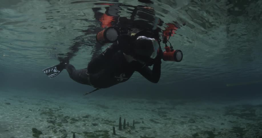 A diver swimming along the surface of the ocean