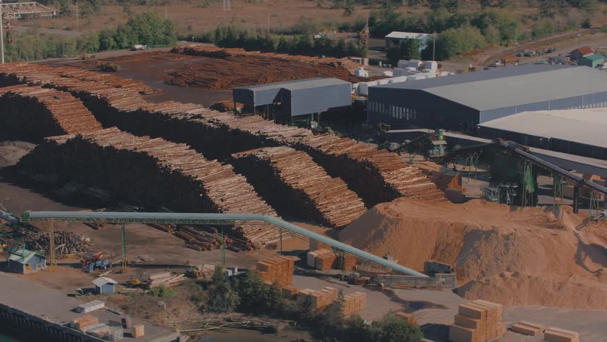 Aerial of stacks of logs in a large lumber yard on a sunny day