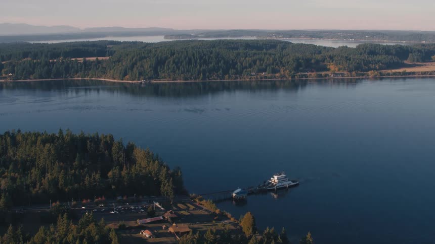 Aerial view of a wooded bay surrounded by the sea