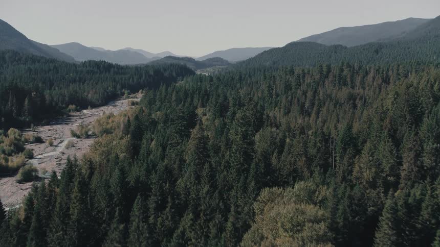 Mountains with dense greenish forests