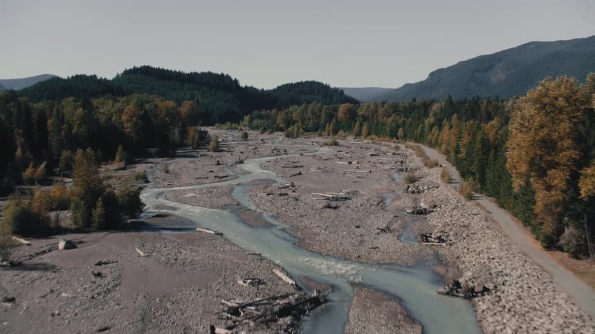 River flowing on a hill surrounded by forest