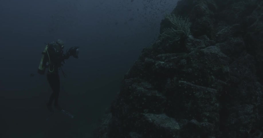 A diver films underwater