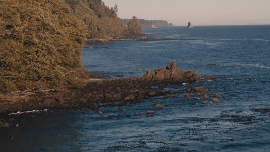Large forests line the shore