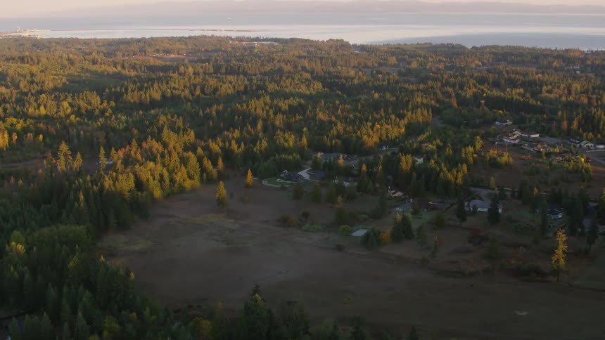 The homes are surrounded by many trees