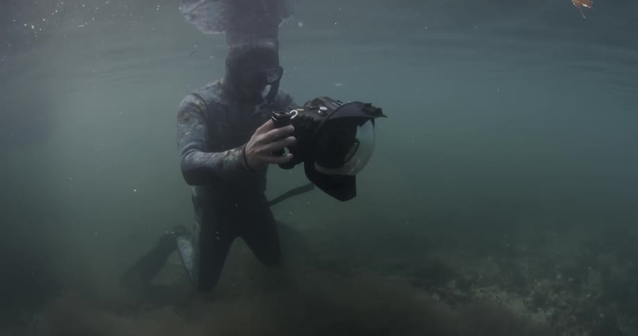 A diver holds a camera underwater