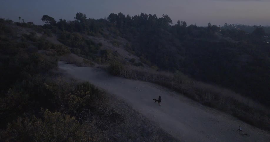 Top view of a person running on a trail with a dog
