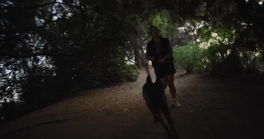 A person is walking a dog on a leash along a dirt path in the woods