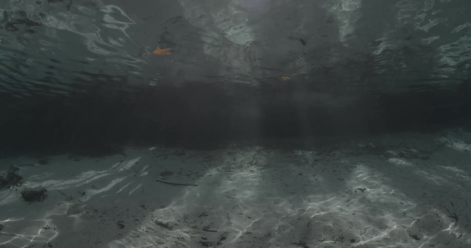 Bright sunlight casting rays beneath the ocean