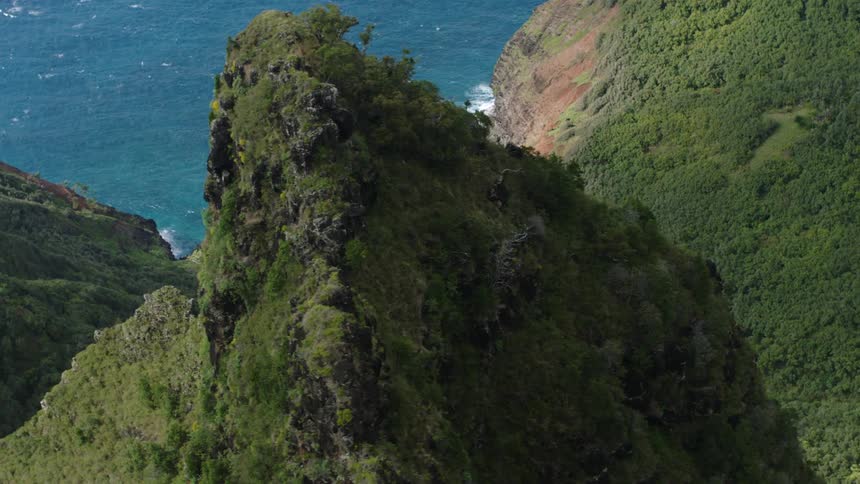 Aerial of lush green mountains next to an ocean coastline