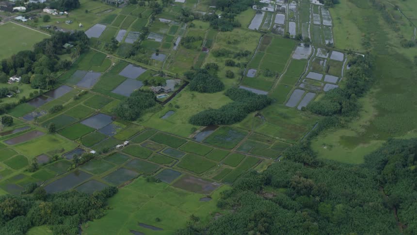 An aerial view shows a patchwork of flooded fields interspersed with strips of darker vegetated land and a few scattered buildings