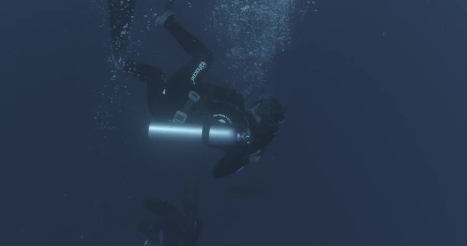 Divers swim down into the blue water