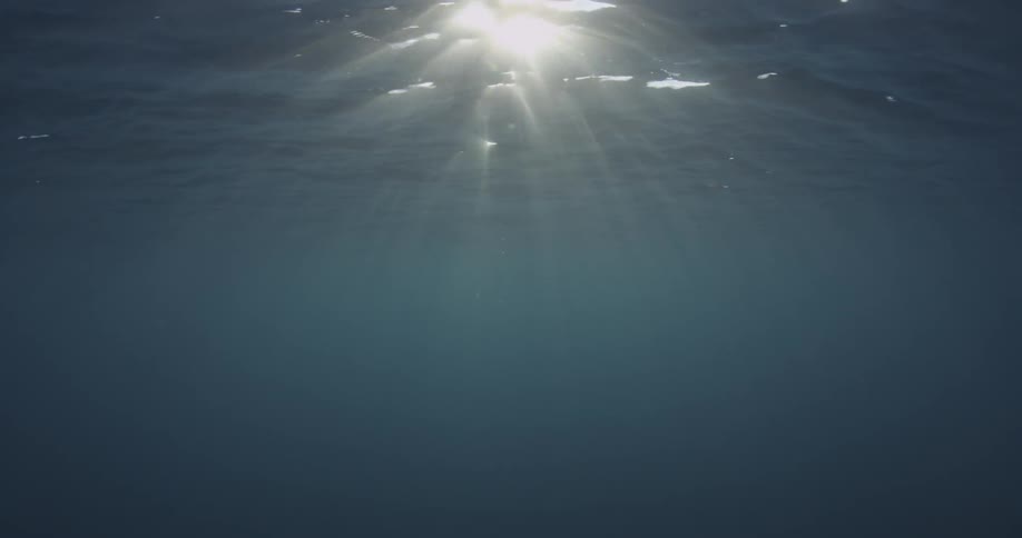 Sun rays are streaming through the ocean's surface underwater