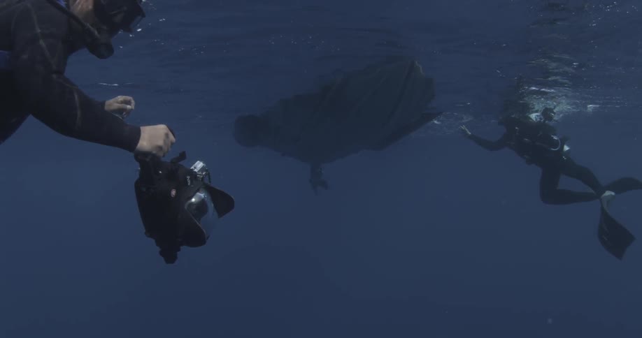 Divers filming near a boat