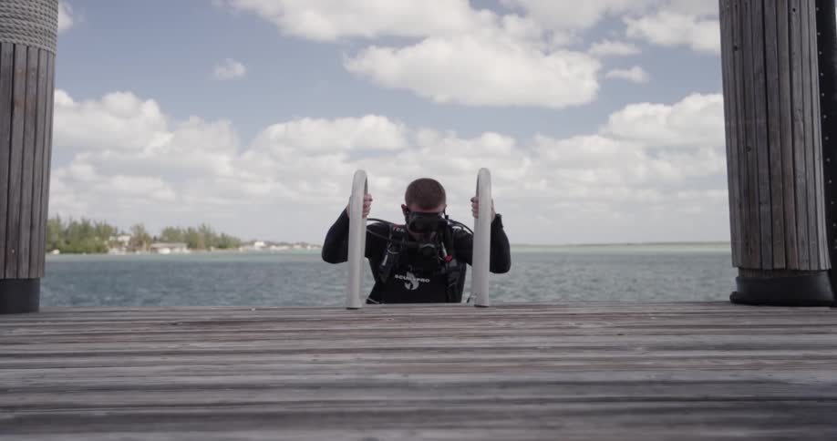 A diver descending a ladder to the ocean