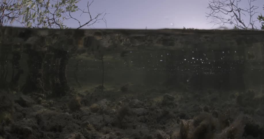 The shallow water has many rocks underneath