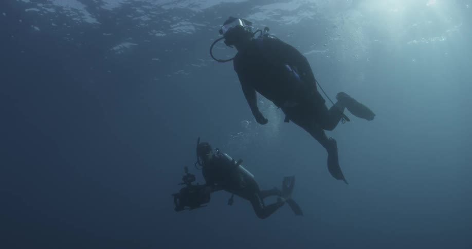 Two scuba divers swim in the ocean