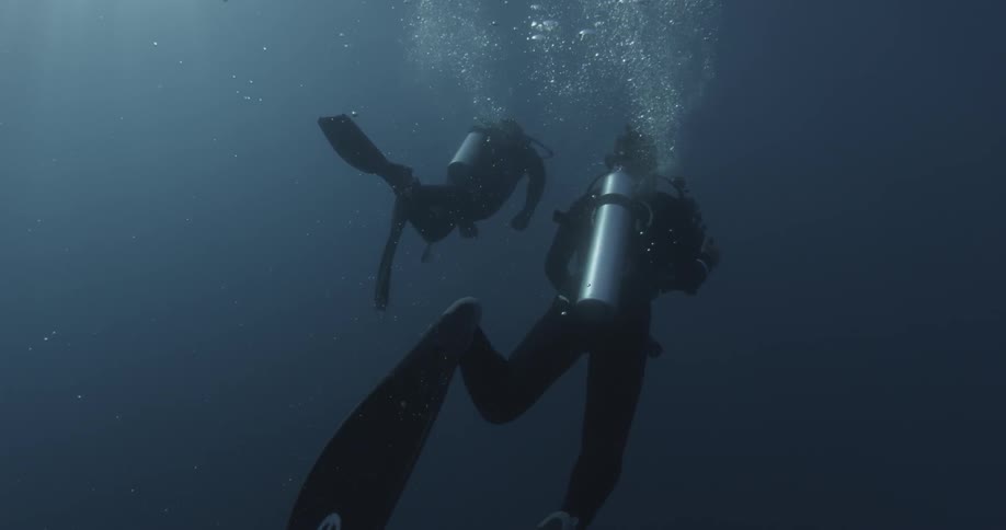 Divers swimming together