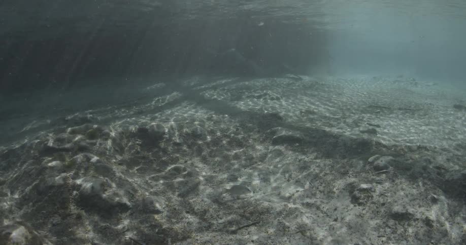 Sunlight is casting shadows on the ocean's floor