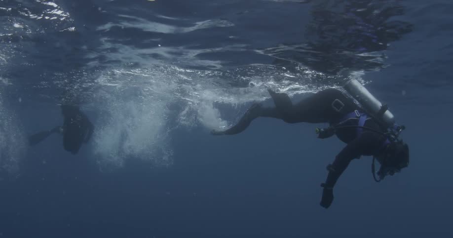 A diver is swimming near the surface of the water