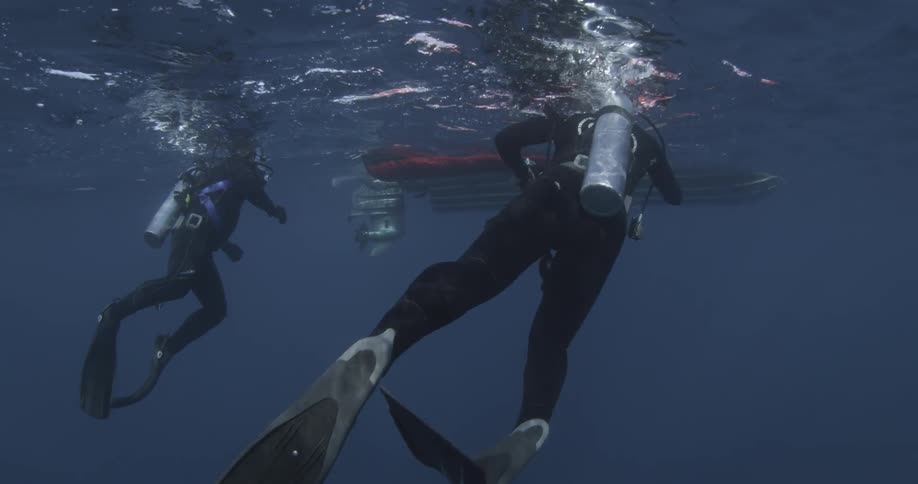 Scuba divers swimming toward a boat
