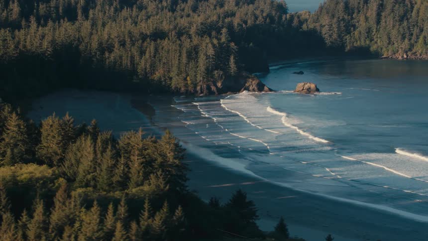 An aerial view of a secluded cove with a dark sandy beach bordered by dense forest where gentle waves lap the shore