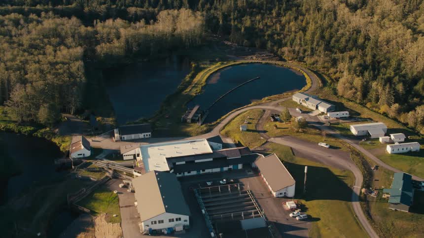 An aerial clip of a community closer to the woods