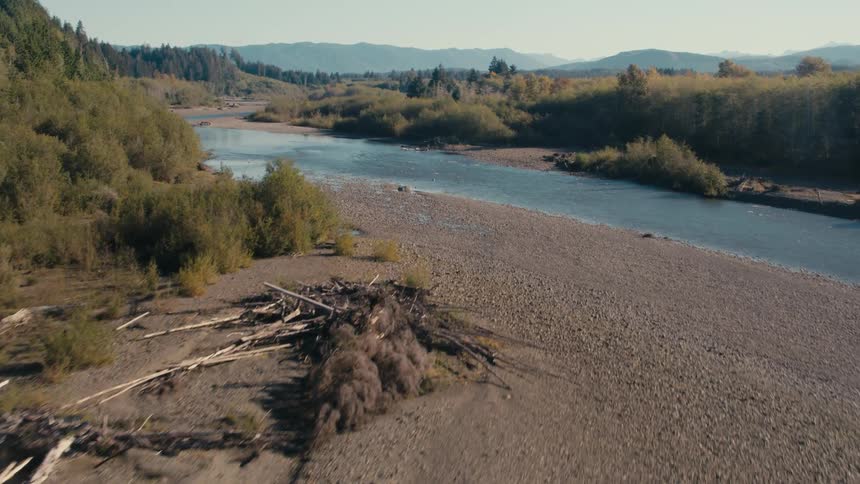 A dry riverbed with scattered driftwood and sparse vegetation bordered by a flowing river and dense forest with mountains visible in the background