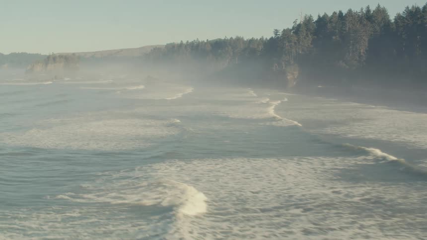 Beach with waves reaching the shore with dense forest