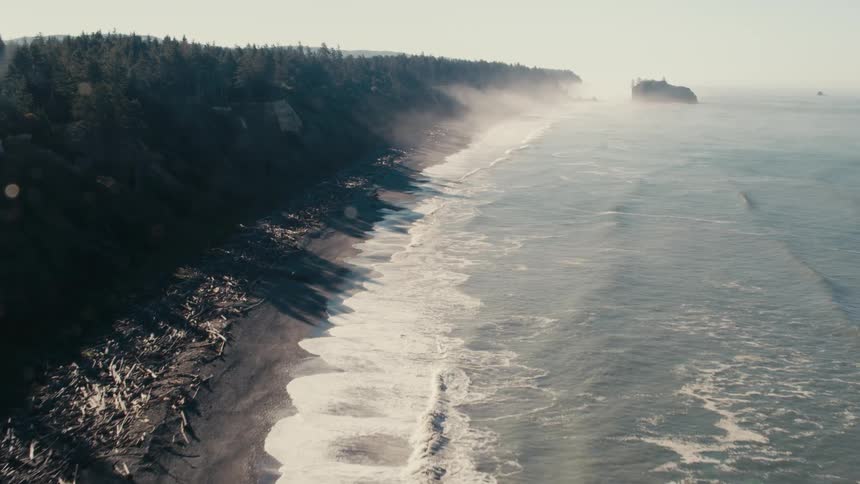 Waves crash on the beach by the forest