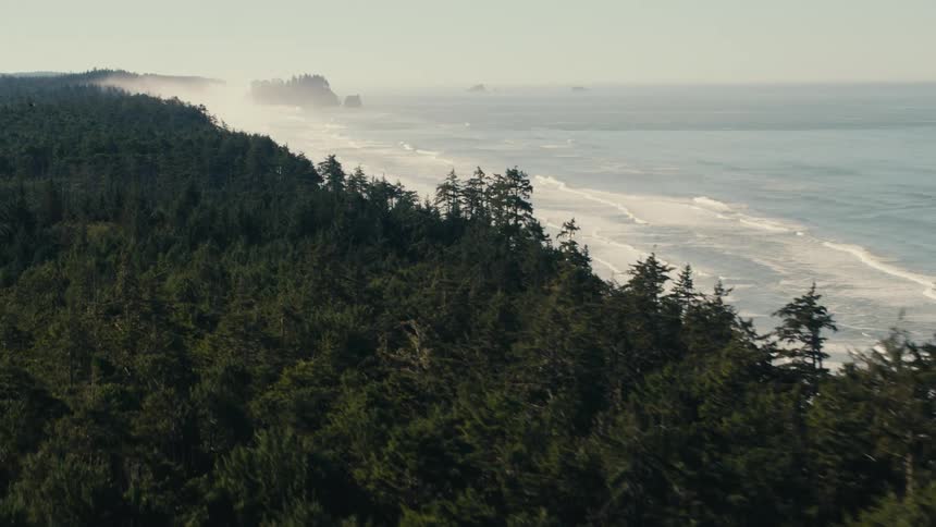 A dense forest of evergreen trees stretches along a rugged coastline with waves crashing against the shore and mist rising in the distance