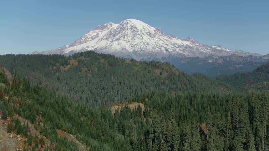 A snow capped mountain towers over a lush green forested landscape under a clear blue sky