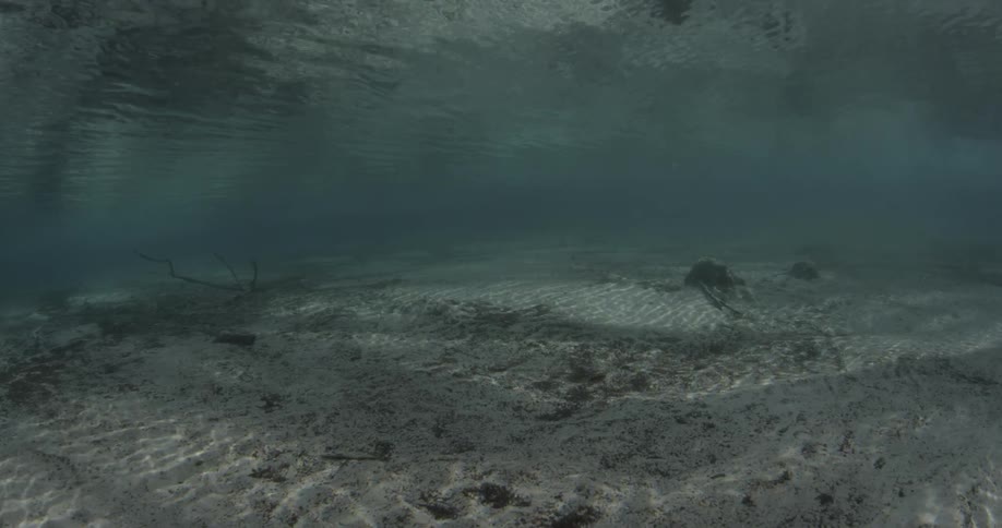 Shallow water rippling