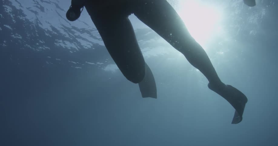 A diver swims in the ocean