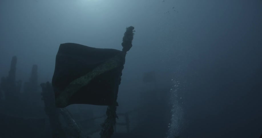 A flag floats on ship wreckage in the ocean
