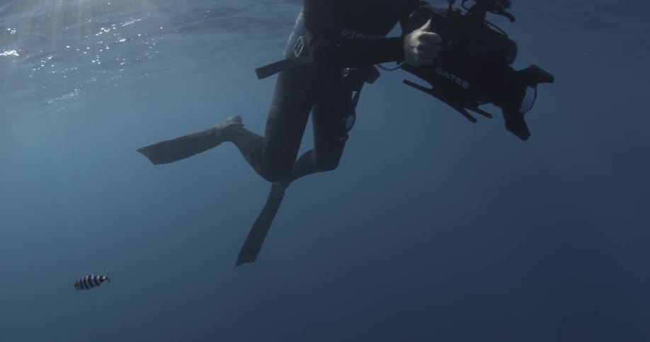 A diver holds a camera in the ocean