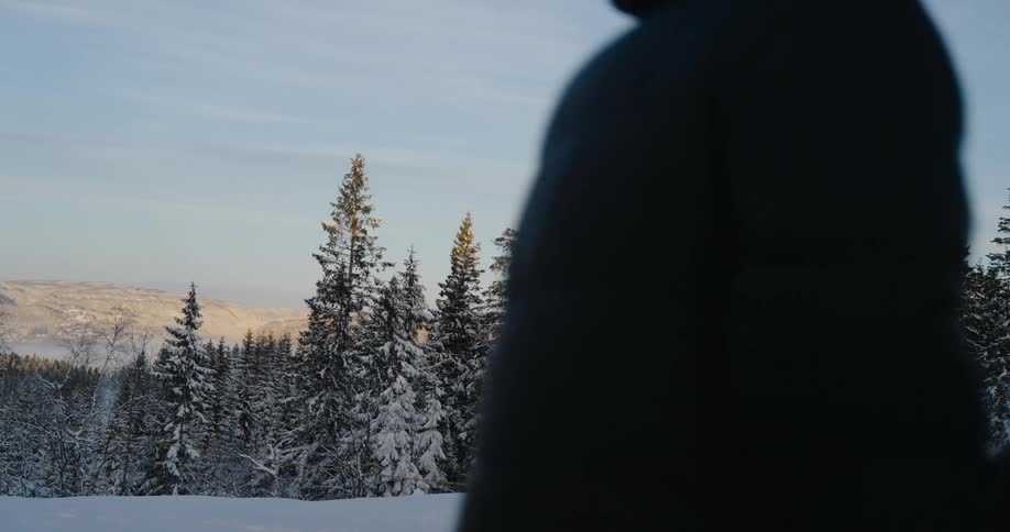 Snowboarder carries a snowboard across a field near a frosted conifer forest on a winter day