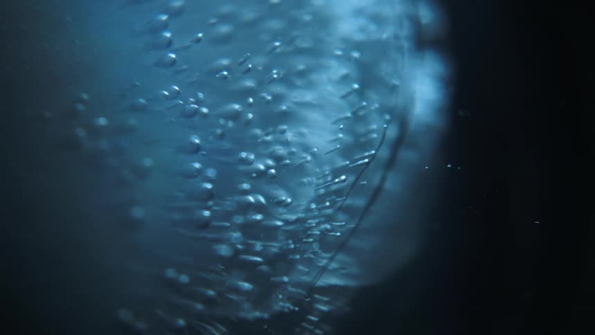 Close up of an ice floating in water