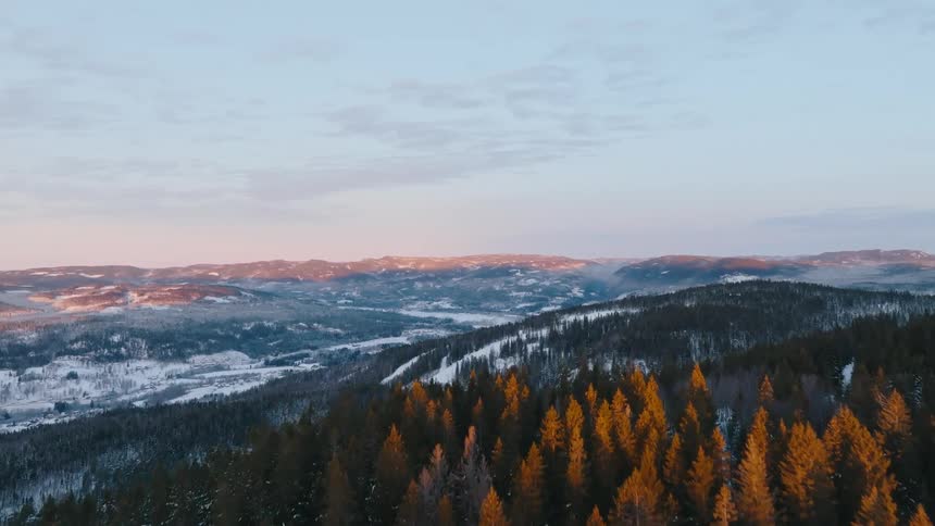 Aerial view of a coniferous forest in a snowcovered mountainous region with the treetops illuminated by the light of dawn