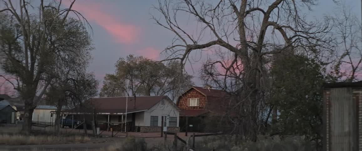 A bare leafless tree stands silhouetted against a pastelcolored sunset sky next to a weathered wooden building with a dark empty window in the neighborhood