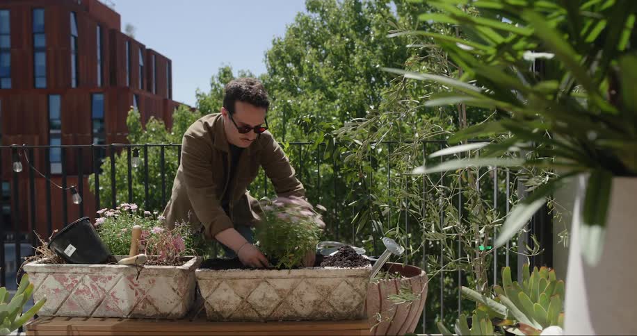 A man planting herbs in pots on a sunny city balcony