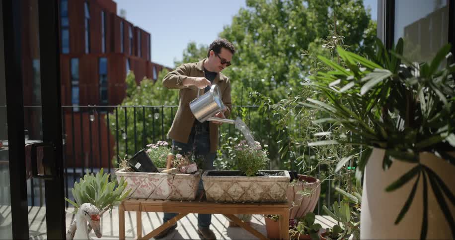 On a sunny day a man uses a watering can to water herbs and flowers in pots on a city balcony