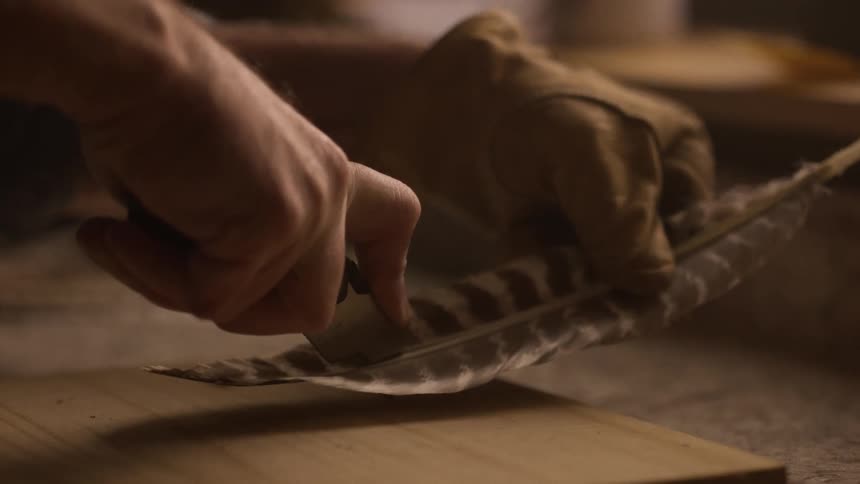 An artisans hand uses an xacto knife to cut and shape a large bird feather in closeup