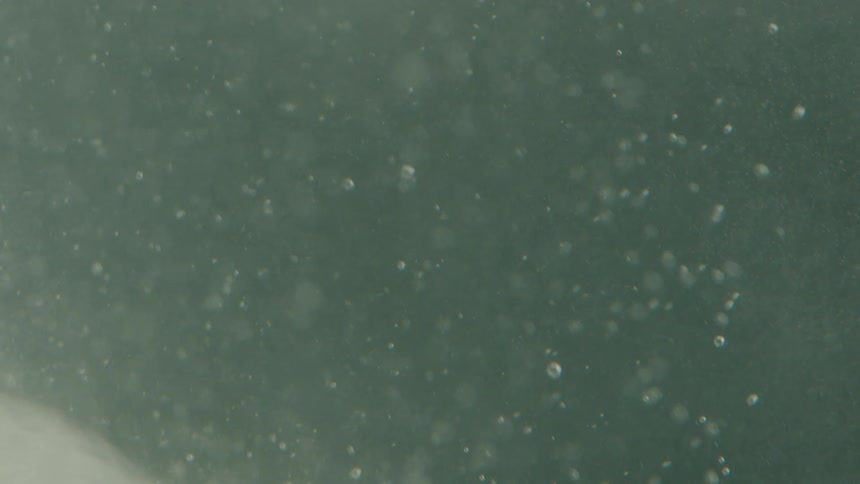 Air bubbles floating up on a clear liquid