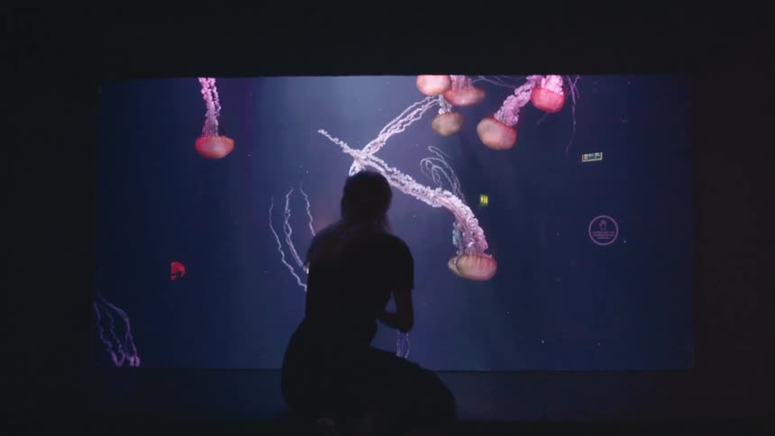 A woman watches the jellyfish swimming in the aquarium
