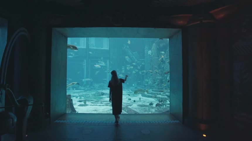 A woman walks up to the large aquarium glass