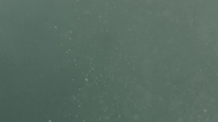 Bubbles float up in the murky water