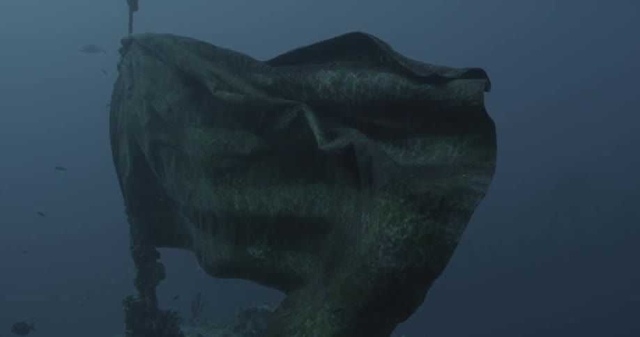 A flag on an old shipwreck sways with the tide