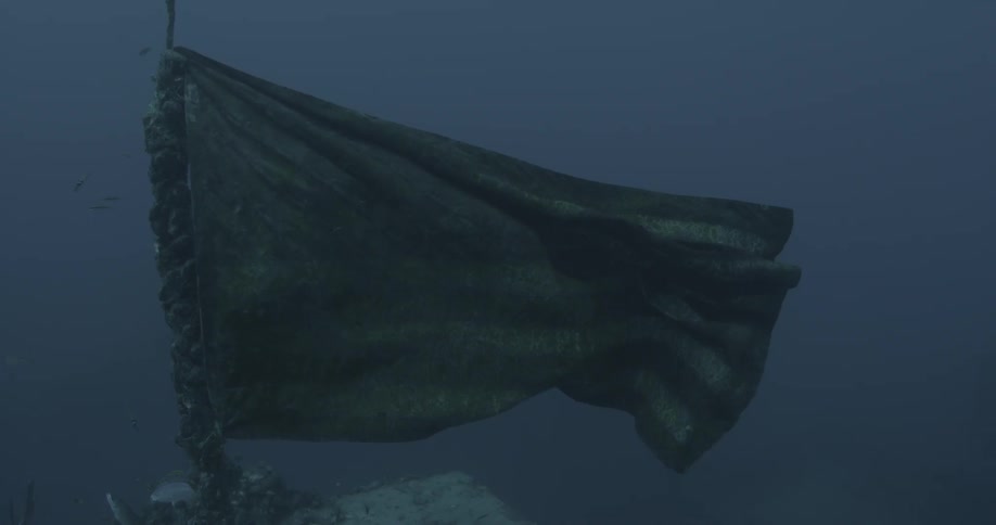 A flag on an old shipwreck sways with the tide