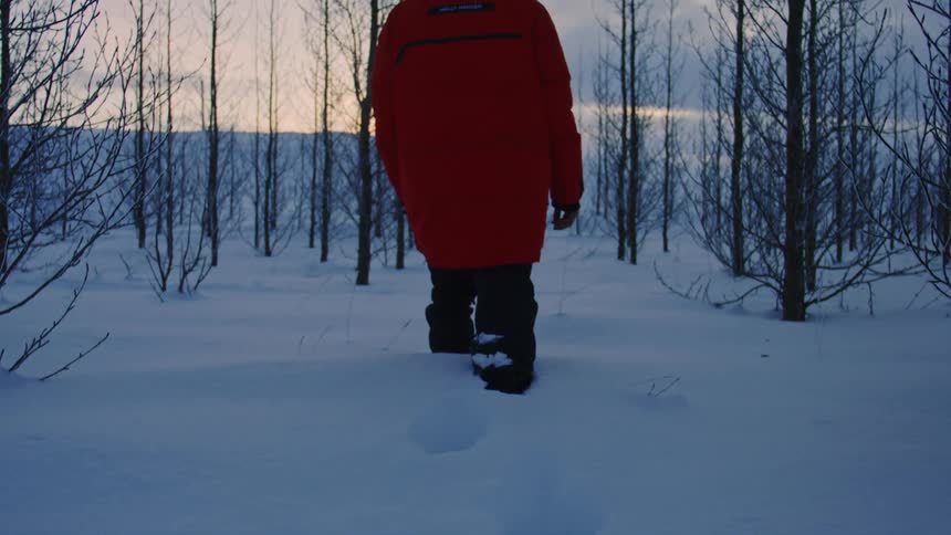 A man is hiking in the tall snow past the trees