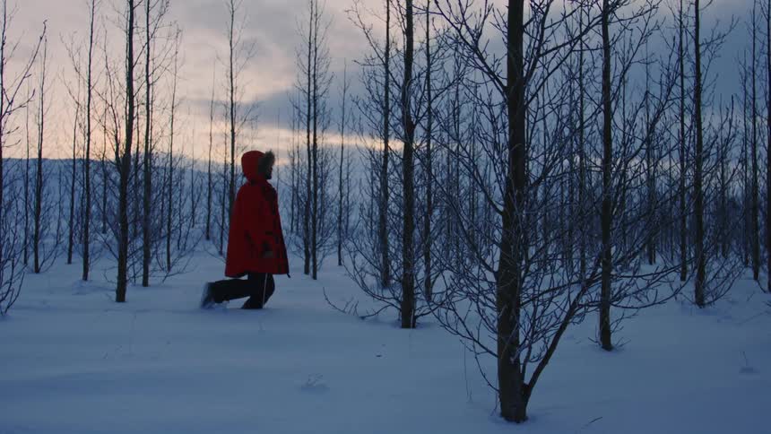 A person walking in a red coat in an area with thick snow on the ground and thin leafless trees